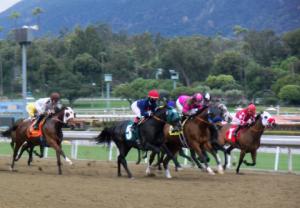 Racing at Santa Anita Park