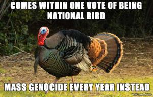funny turkey vote joke